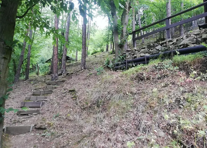 Holiday home Chatrc Pod Babou *